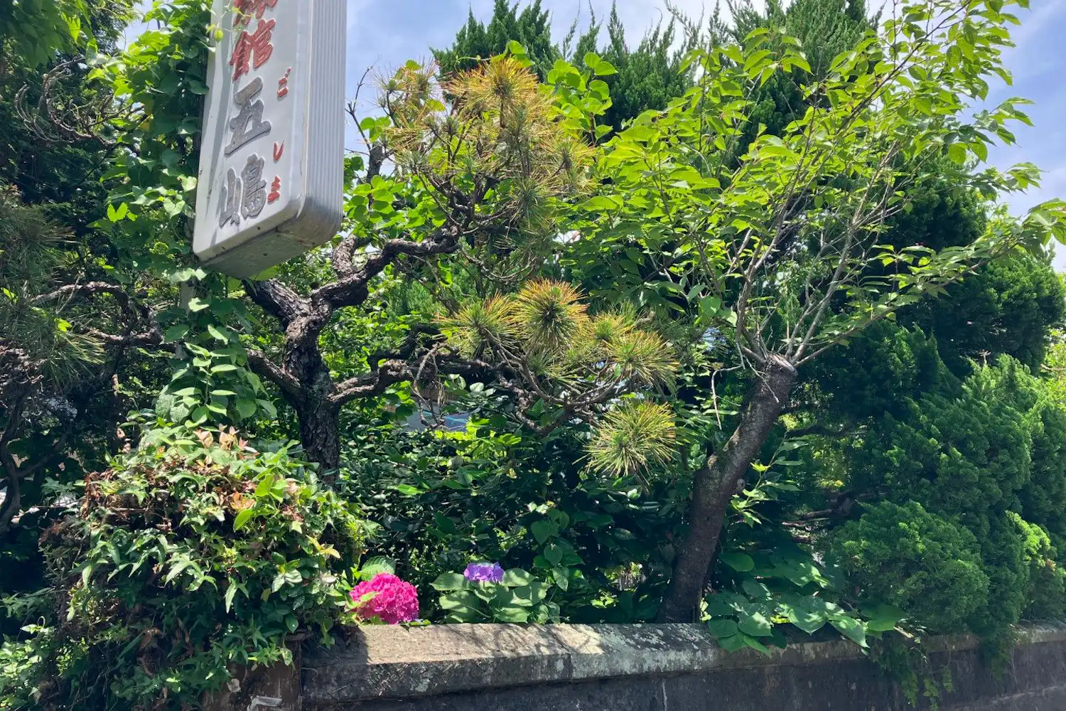 施設画像