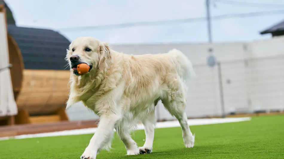 Solana Beach Villa Minamiboso
