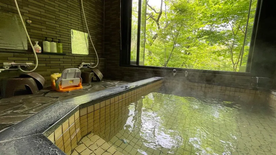 Accommodation in Nasu Highlands: Yama no Gaku