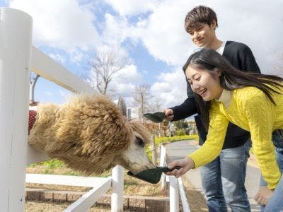 神戶動物王國　形象