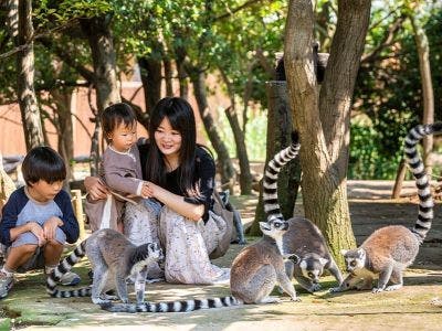 神戸どうぶつ王国　イメージ