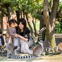 Kobe Animal Kingdom - Gambaran