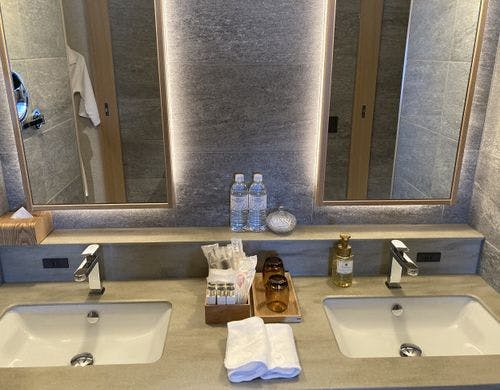 セレブリティスイート　サウナ