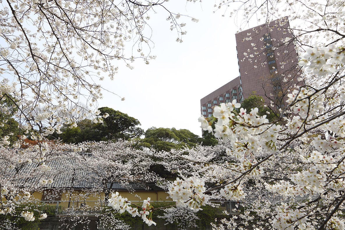 ホテル椿山荘東京