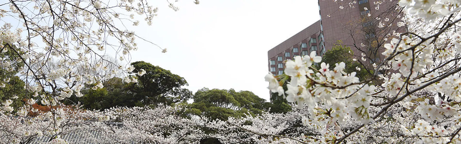 ホテル椿山荘東京