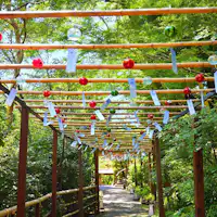 ซอยฟูริน