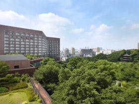 ããã«æ¤¿å±±èæ±äº¬ãå¤è¦³