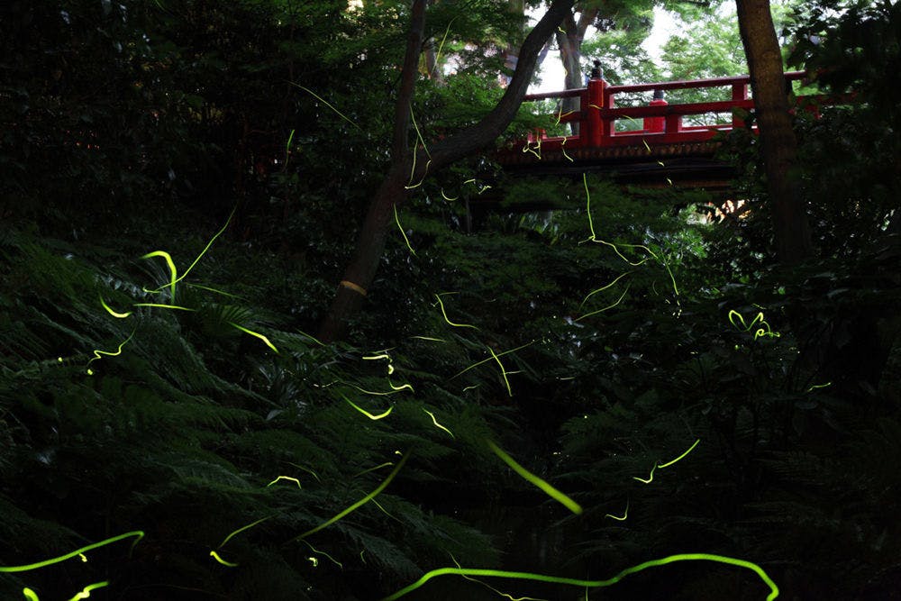 ホテル椿山荘東京