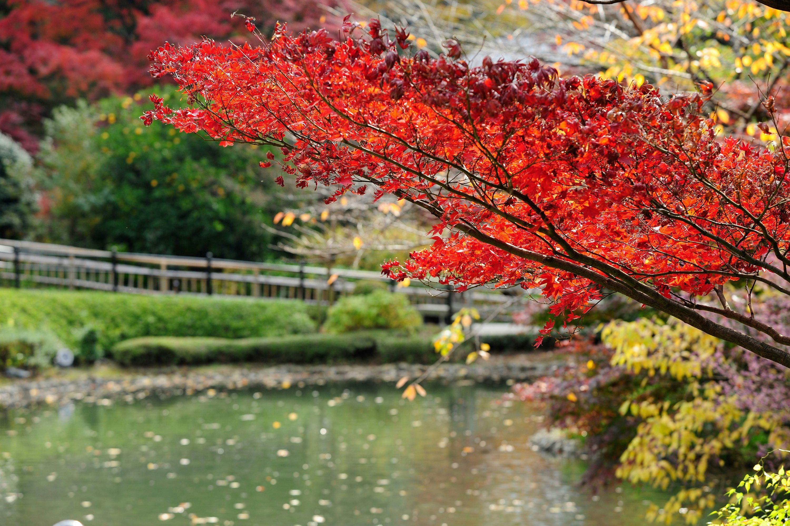 ホテル椿山荘東京