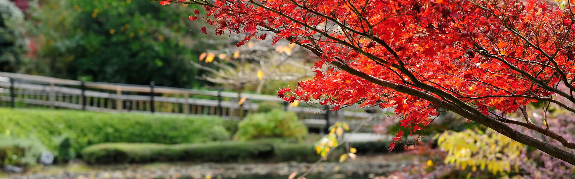 ホテル椿山荘東京