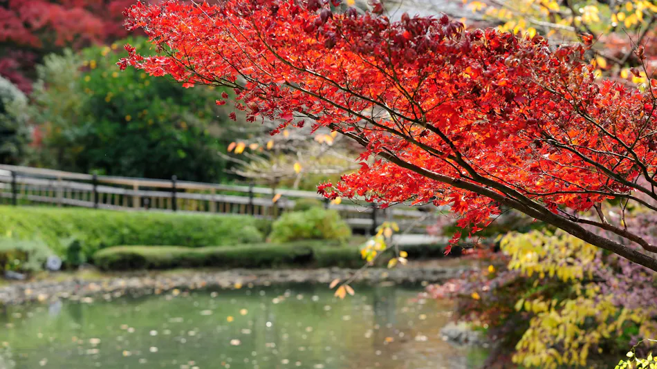 Hotel Chinzanso Tokyo