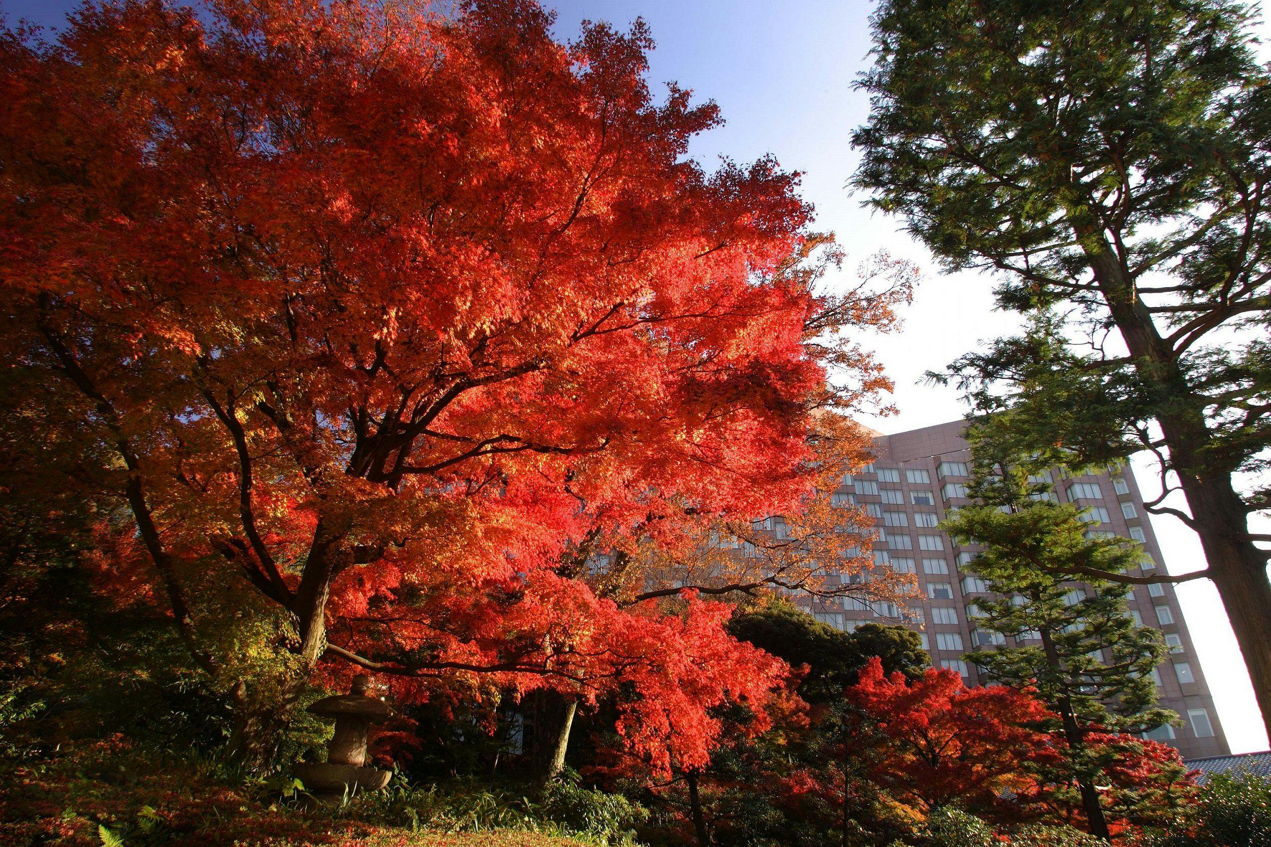 ホテル椿山荘東京
