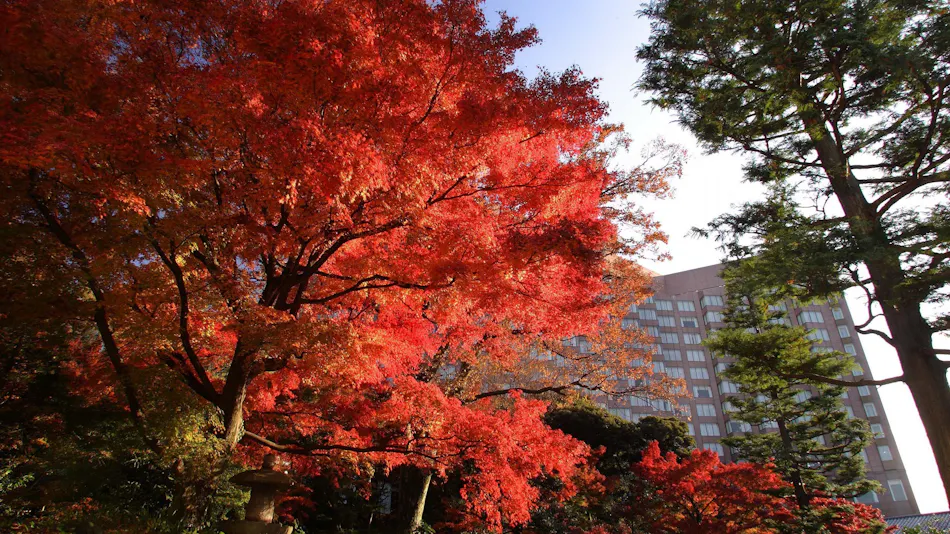 Hotel Chinzanso Tokyo