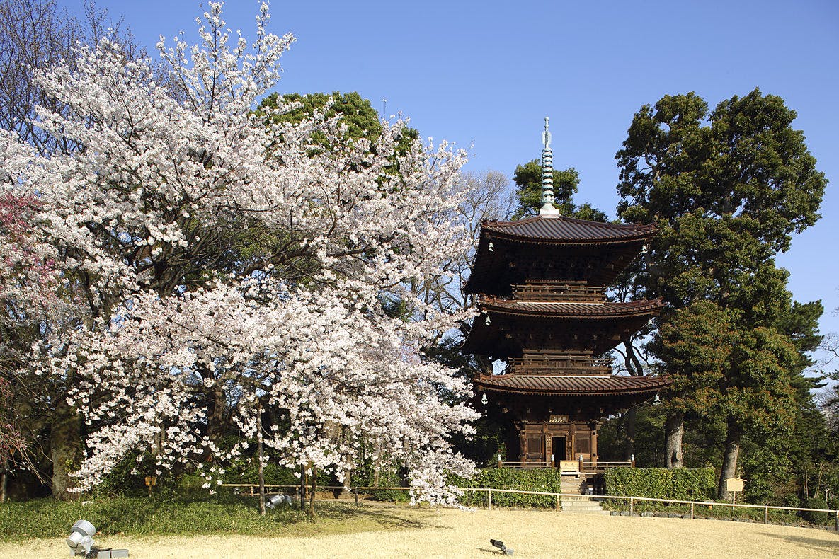 ホテル椿山荘東京