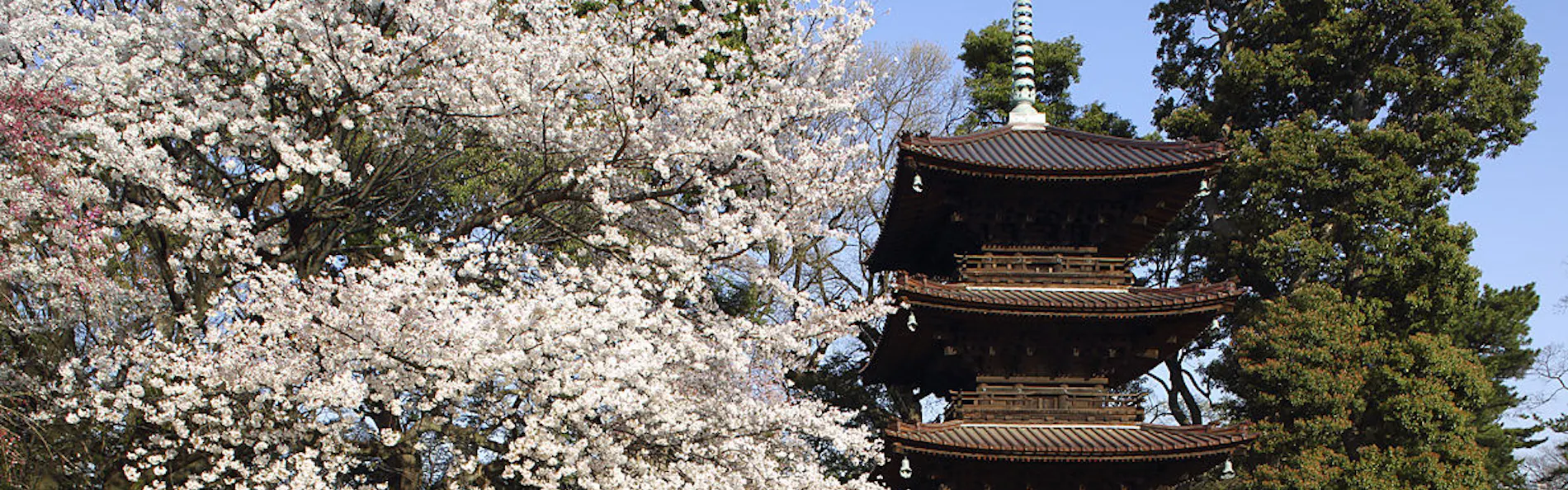 ホテル椿山荘東京