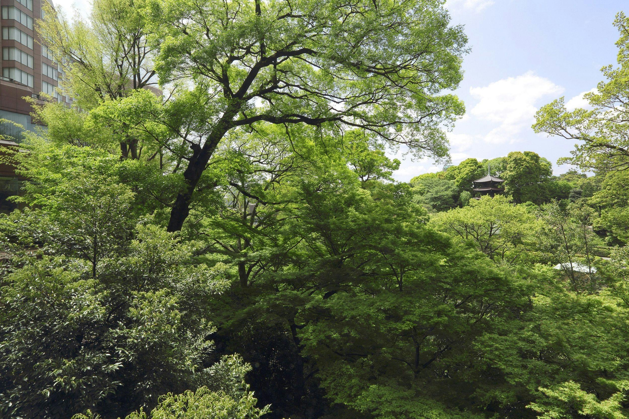 ホテル椿山荘東京