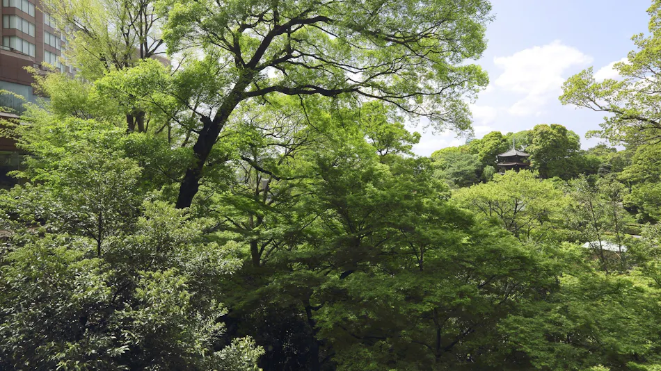 Hotel Chinzanso Tokyo