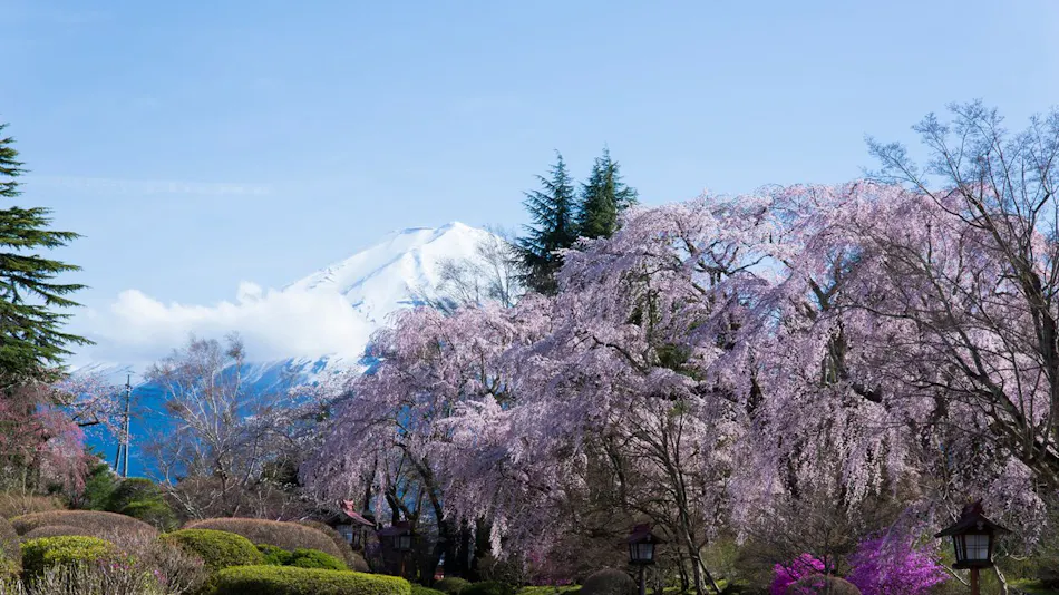Fuji View Hotel