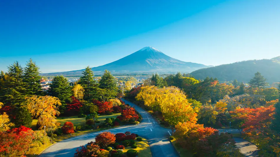Fuji View Hotel