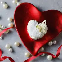 可选甜点② 示意图