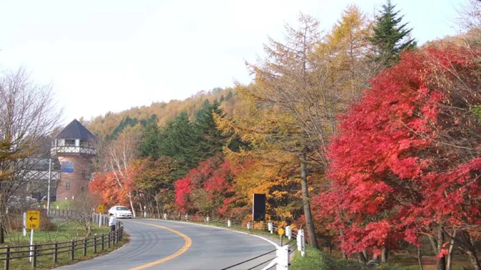 Kusatsu Onsen Tenojiy