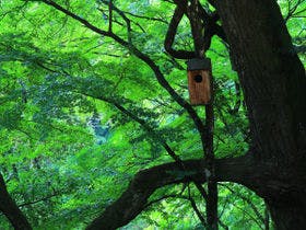 静かな渓谷の隠れ宿 峡泉