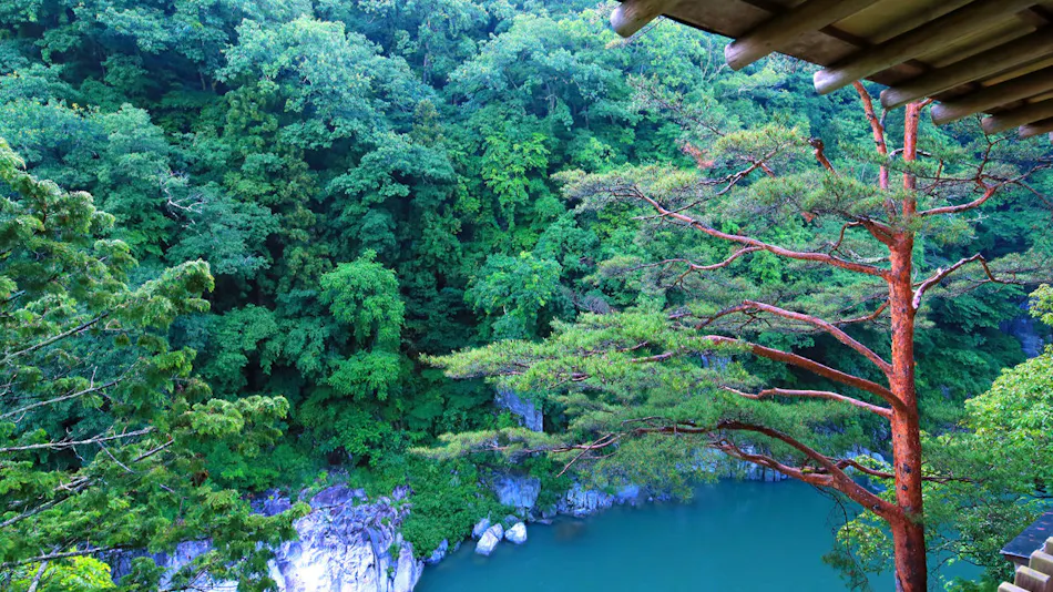 Tenryukyo Onsen Hidden Inn in the Valley Kyosen