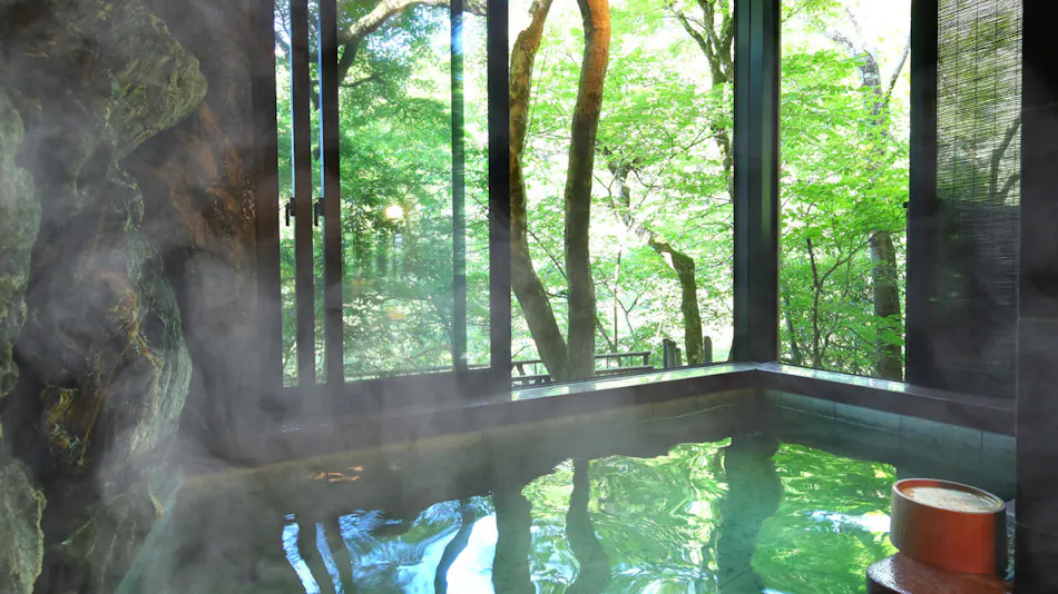Tenryukyo Onsen Hidden Inn in the Valley Kyosen
