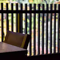 *【紅葉】食事処「仙人」に木々が寄り添う