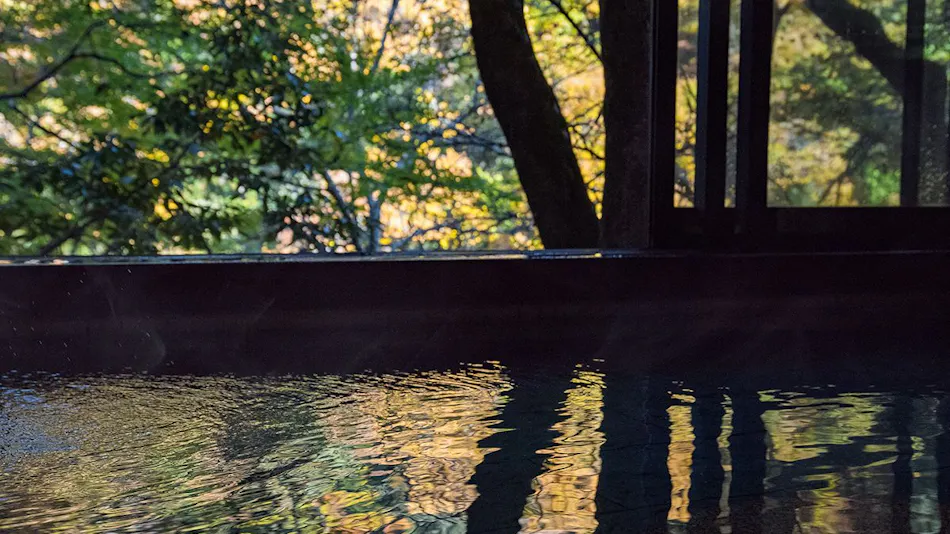 Tenryukyo Onsen Hidden Inn in the Valley Kyosen