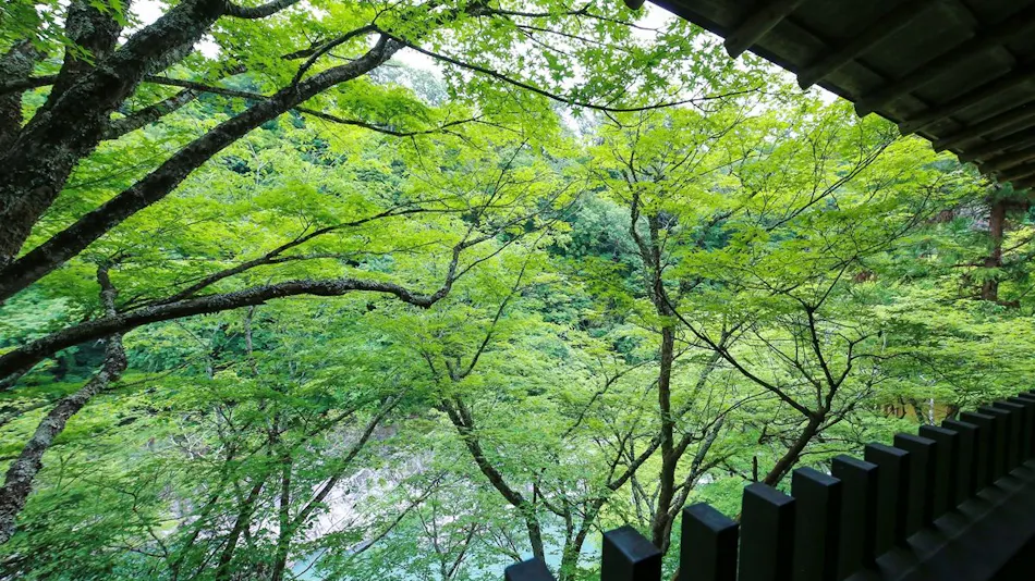 Tenryukyo Onsen Hidden Inn in the Valley Kyosen