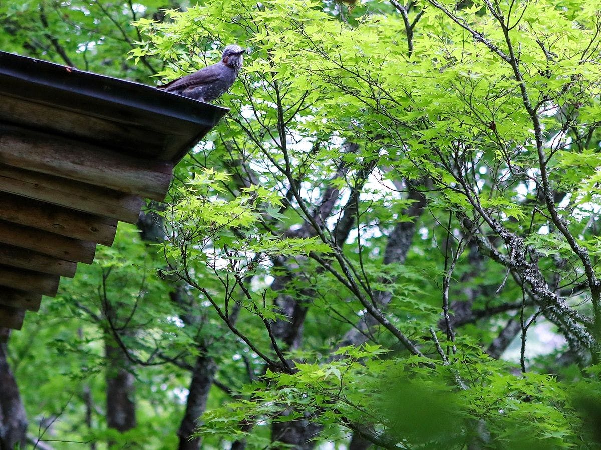 天龍峡温泉 渓谷に佇む隠れ宿 峡泉