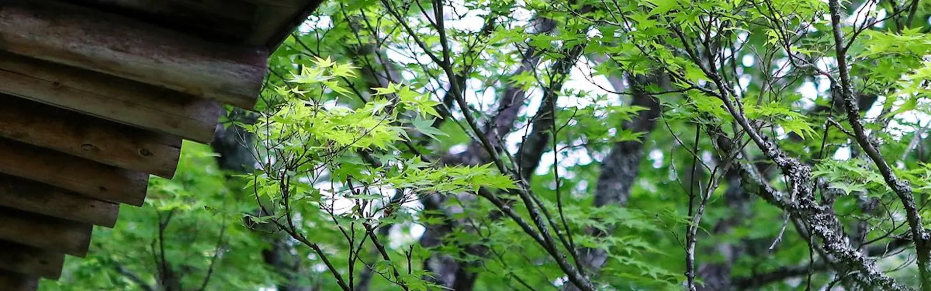 天龍峡温泉 渓谷に佇む隠れ宿 峡泉