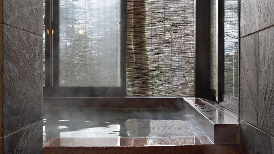 Tenryukyo Onsen Hidden Inn in the Valley Kyosen