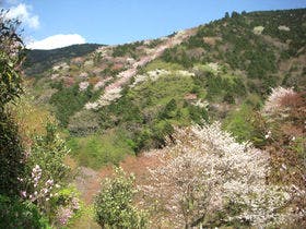 かぶと湯温泉　山水楼