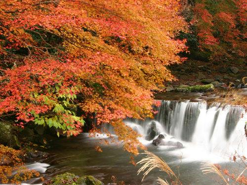 【オータムセール】最大5％OFF　秋の贅沢旅・絶景露天風呂と個室食事処で堪能する季節の会席