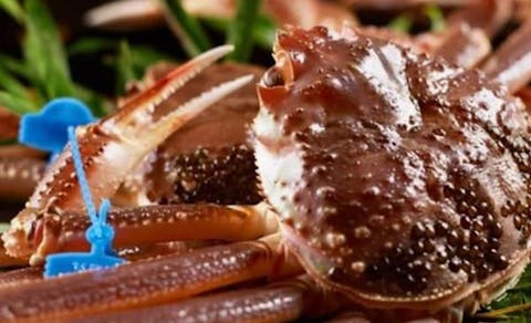 城崎 香住 浜坂の宿で カニ をご紹介 最上のひとときをどうぞ 一休 Com 城崎 香住 浜坂の宿で カニ をご紹介 最上のひとときをどうぞ 一休 Com