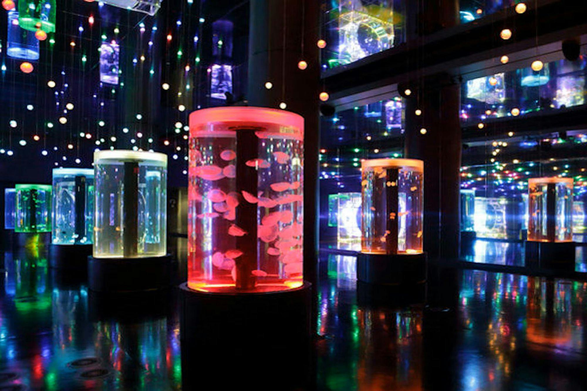 Aqua Park Shinagawa (Shinagawa)