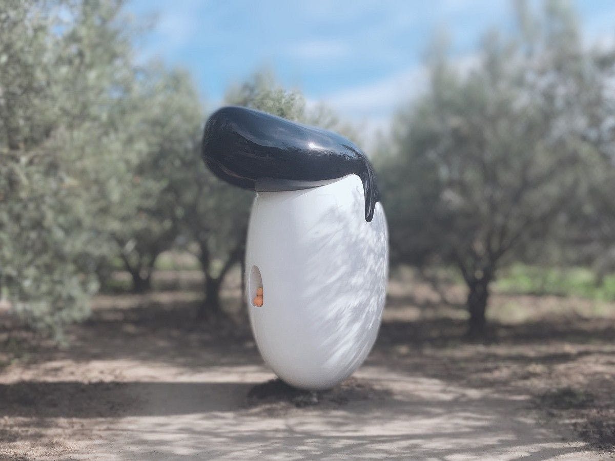 Shimizu Hisakazu - ทรงผมโอลีฟ