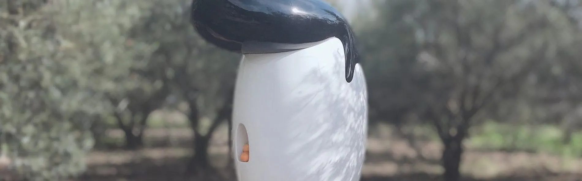 小豆島国際ホテル