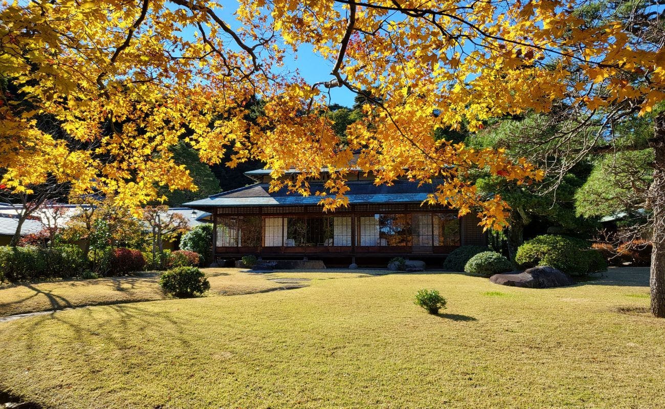 [拍攝於2021年11月28日]