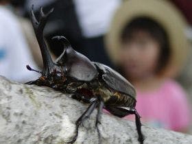 リゾートパーク　ホテルオニコウベ