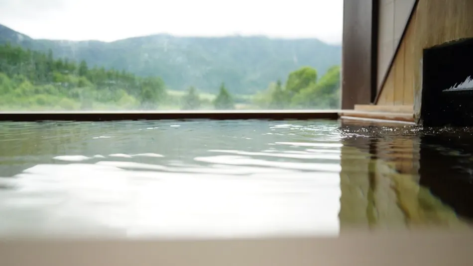 Naruko Onsenkyo Onikoube Onsen: Resort Park Hotel Onikoube