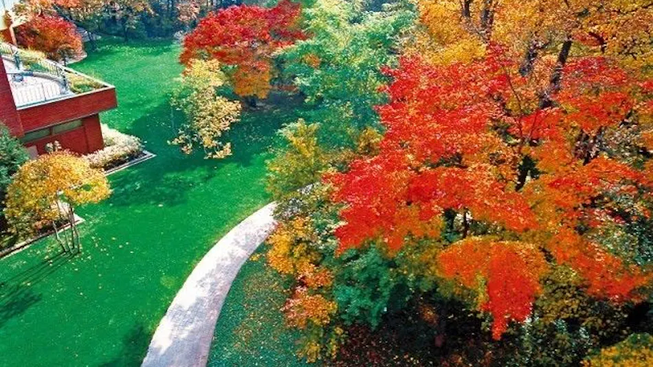 Forest Spa Resort Hokkaido Hotel