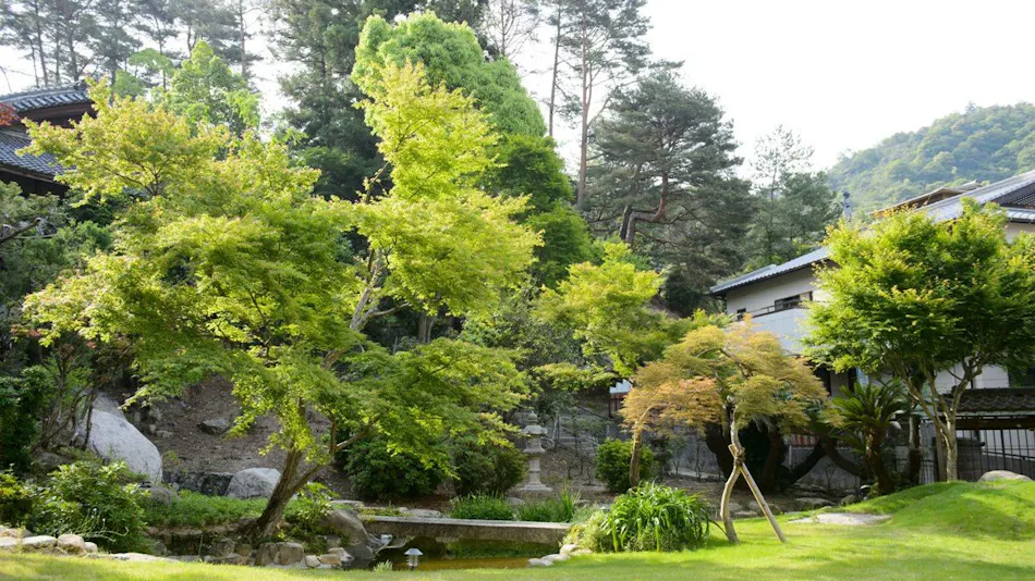 Miyajima Grand Hotel Arimoto