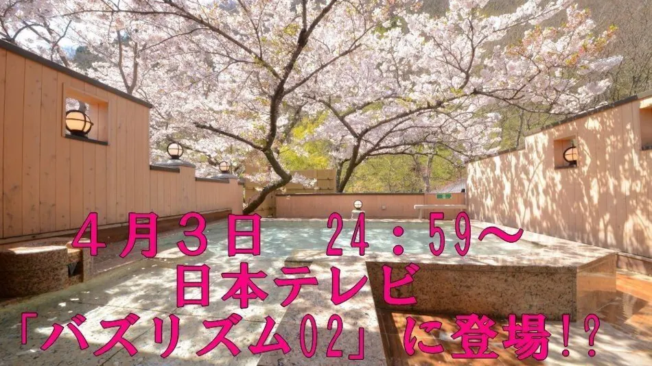 Hanare no Yado Yomogino