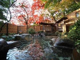 伊豆修善寺温泉　新井旅館