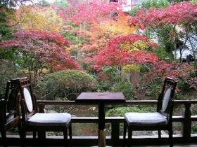 伊豆修善寺温泉　新井旅館