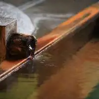 ◆Aula Pemandian Tenpyo