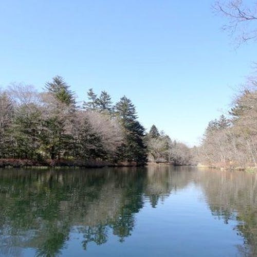 軽井沢バーベキュー カフェ コラージュの宿で コテージ をご紹介 最上のひとときをどうぞ 一休 Com 軽井沢バーベキュー カフェ コラージュの宿で コテージ をご紹介 最上のひとときをどうぞ 一休 Com